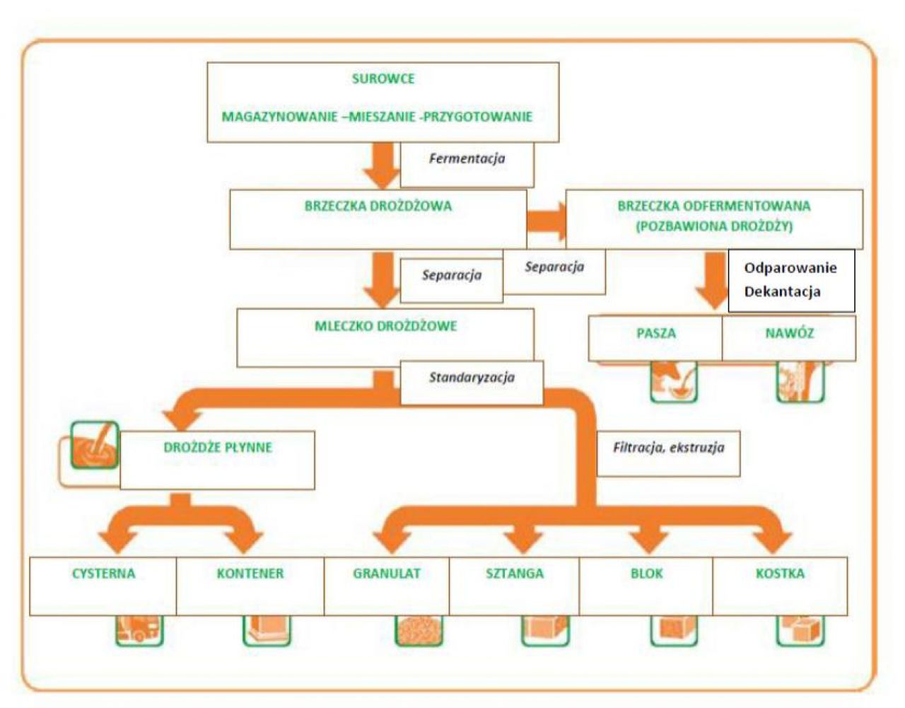 Hefeherstellung und Angebotsformen von Hefe